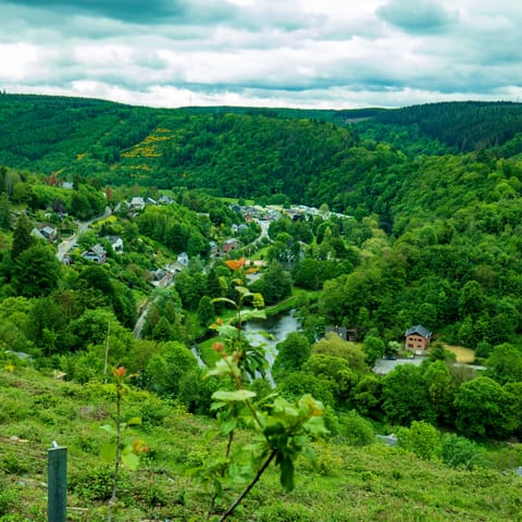 Drive thirty minutes through lush greenery to the town of La Roche-en-Ardenne