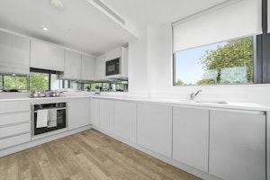 Arborea In White image 12