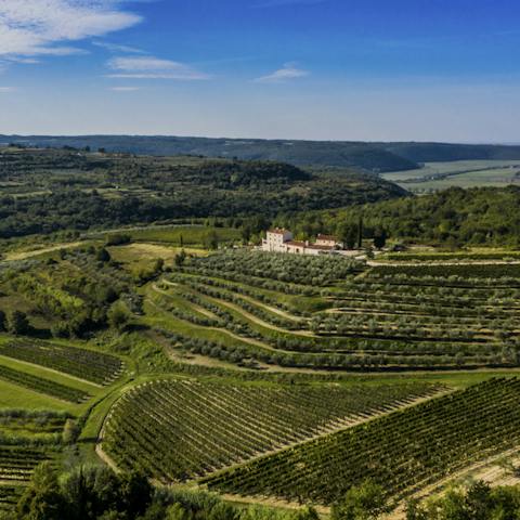 Explore the verdant Istrian countryside and quaint towns that surround the villa