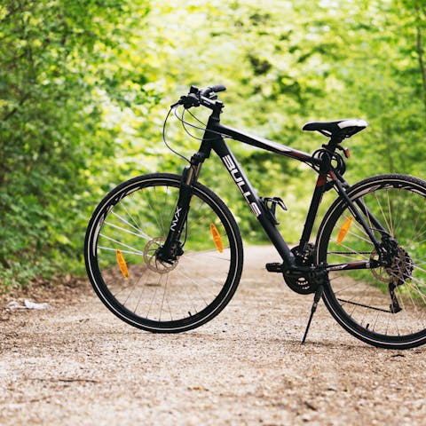 Rent a bike and ride the local trails