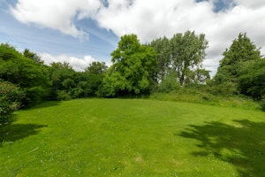 The Blue Bells image 15