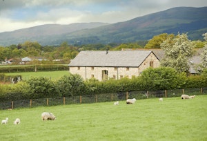 Gower Cottage image 6