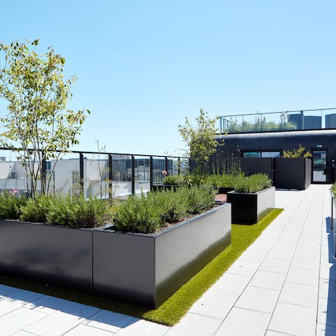 Enjoy views over Dublin's Docklands from the shared roof terrace