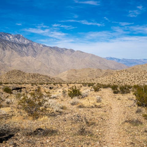 Get out into nature, the dramatic canyons of the Coachella Valley await