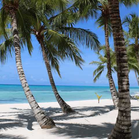 Head down to the beach club to spend a day on the silver sand