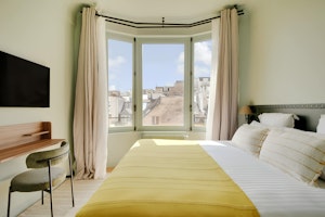 Over the Parisian Rooftops image 12