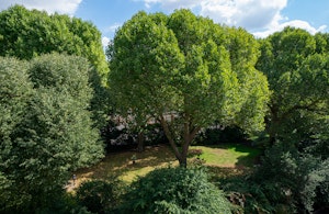 Elegance & Eucalyptus image 13