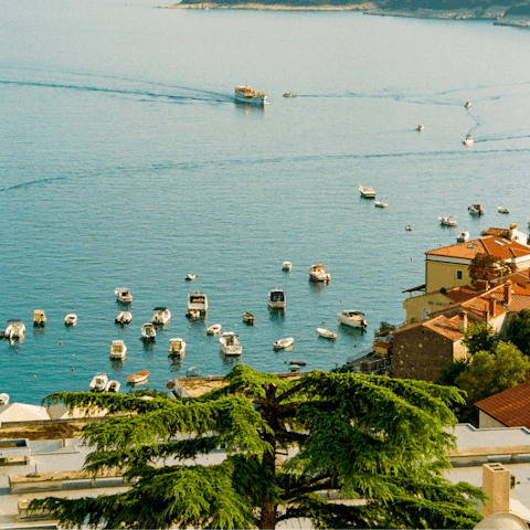 Delve deeper into the gorgeous peninsula of Istria