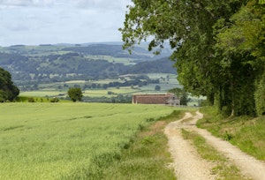On the Hills image 10