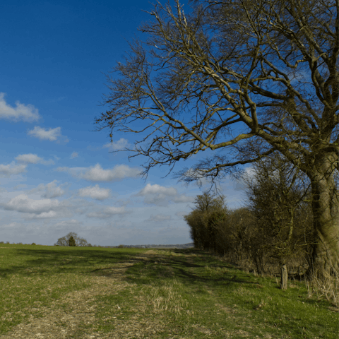 Take the pup on a walk through the nearby Chiltern Hills