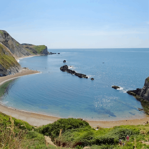 Hunt for fossils along the Dorset Coast
