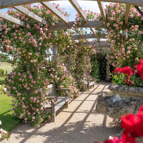 Perch with a book in hand amidst the romantic setting of the rose garden