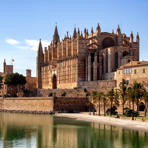 Take a day trip to the beautiful city of Palma 