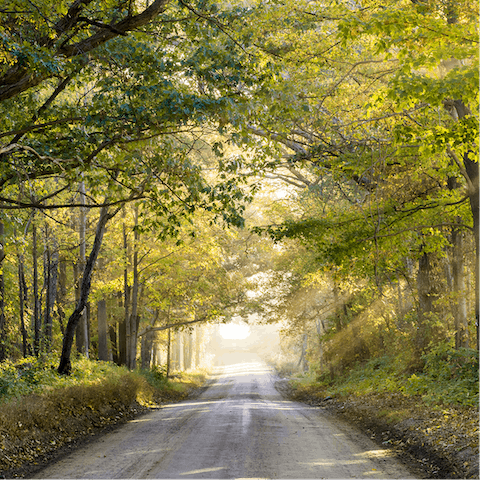 Discover the magic of the nearby woodland on long walks with your pet pooch