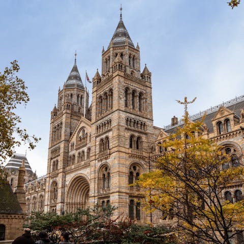 Spend an afternoon visiting South Kensington's world-class museums – the Natural History Museum is fifteen minutes away on foot