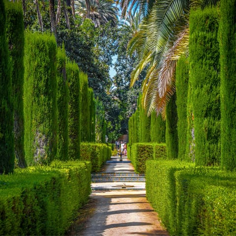Stroll through the Alcázar Gardens on a sunny afternoon