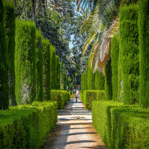 Stroll through the Alcázar Gardens on a sunny afternoon