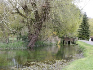 The Scenic Hideaway image 2