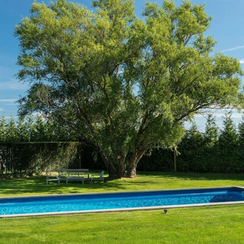 Take a dip in the pool surrounded by lush greenery