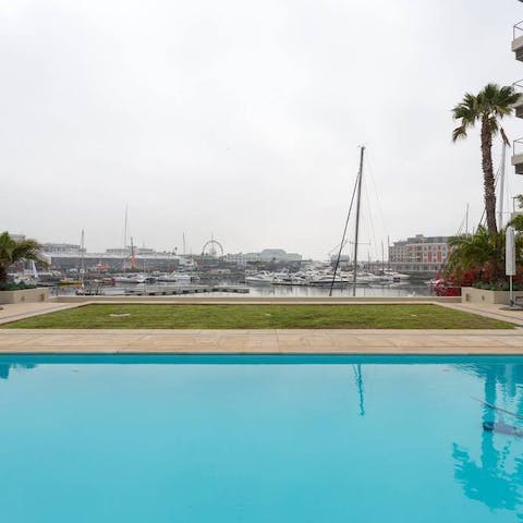 Head down to the communal pool for a swim with harbour views