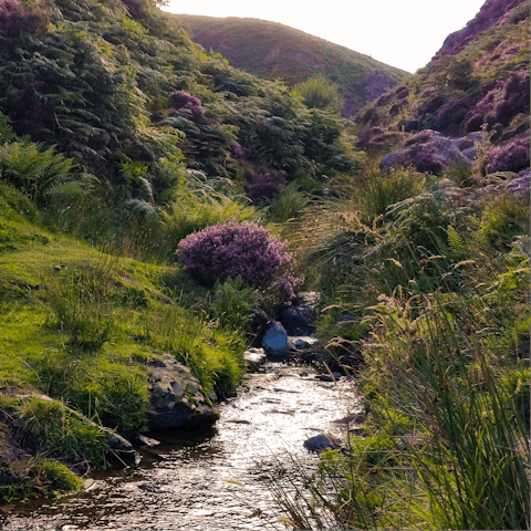 Pack a picnic and take the twenty-minute car ride to the Shropshire Hills