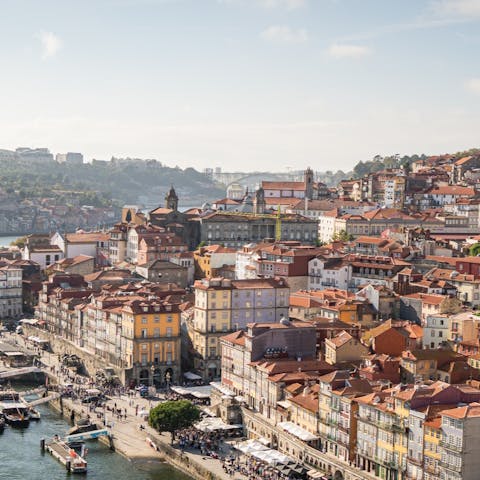 Enjoy your stay in the heart of Porto, between the beautiful Jardim da Cordoaria and Jardim das Virtudes 