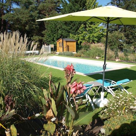  Lounge by the shared pool surrounded by pampas grass and canna lilies