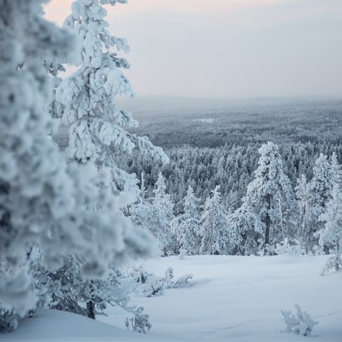 Take hike in a winter wonderland