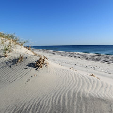 Visit nearby Folly Beach in just twenty-five minutes