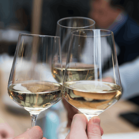 Head out for a day of wine tasting on a tour of the Cape's prestigious vineyards