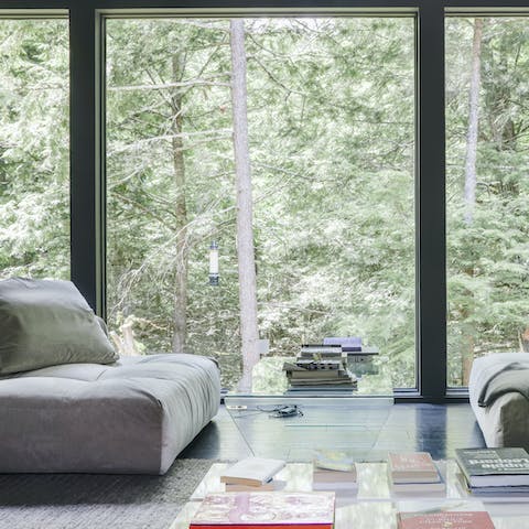 Relax with a book in front of the endless forest view