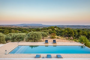 Garden of Olives image 13