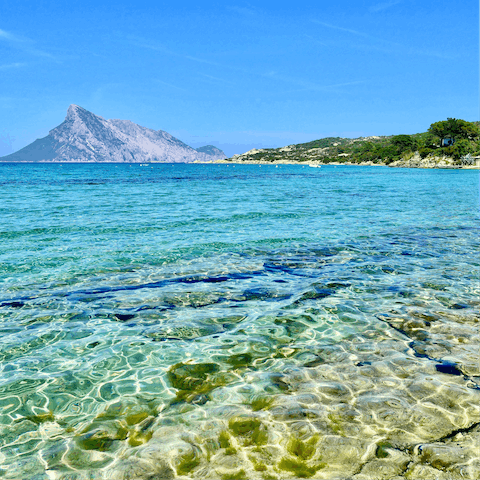 Drive up to Olbia and visit the historic city with its white sand beaches