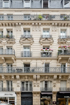 The French Genius image 11