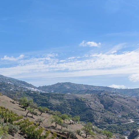 Head out on one of the routes in the Sierras de Tejeda National Park, five minutes' drive away