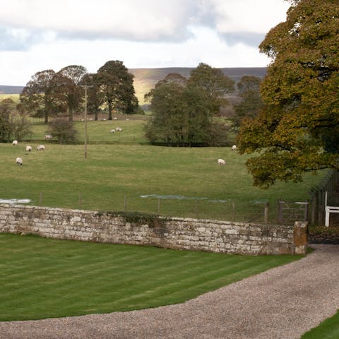 Explore the shared garden and grounds