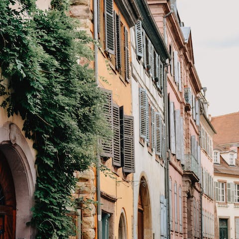 Discover the quaint town of Wintzenheim, or take the short drive to the historical town of Colmar