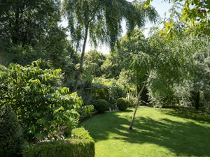 Cotswold Vines image 12
