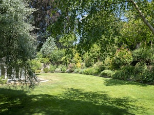 Cotswold Vines image 4