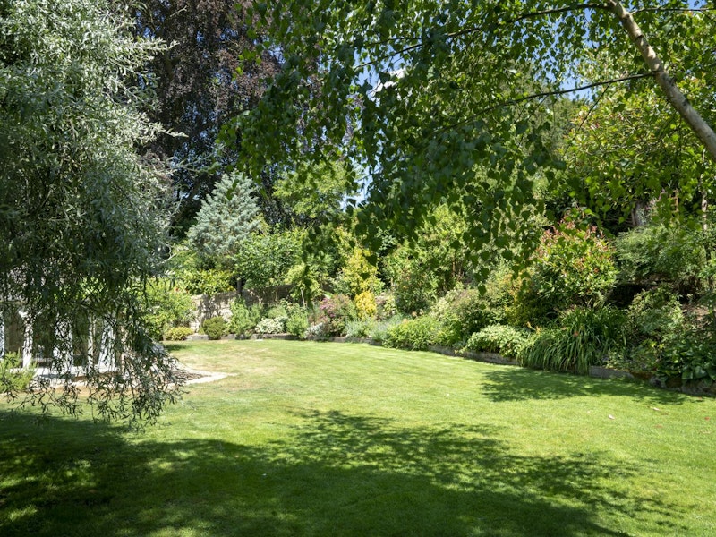 Cotswold Vines additional image