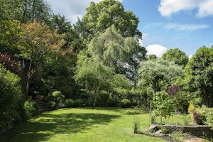 Cotswold Vines image 3