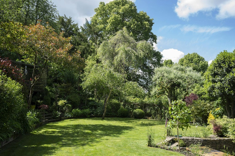Cotswold Vines additional image