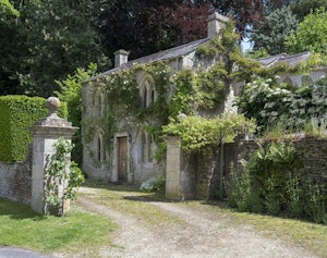 Cotswold Vines image 2