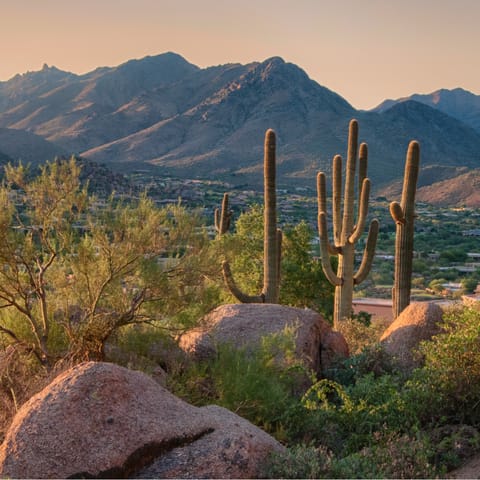 Take a hike through Arizona's desert landscapes