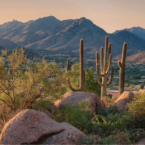 Take a hike through Arizona's desert landscapes