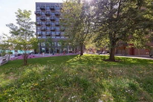 London Breeze image 7