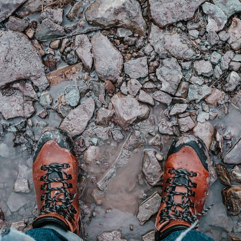 Pack your best walking shoes and explore endless miles of trails