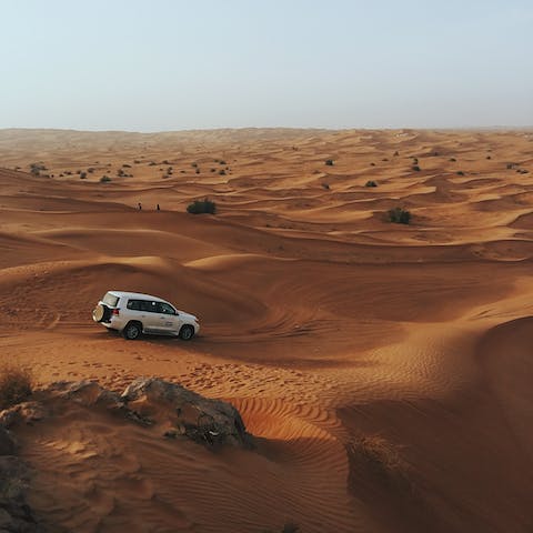 Head into the desert on an adrenaline-fuelled off-road adventure