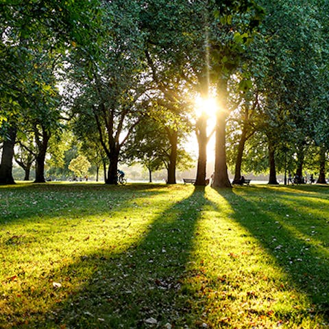 Take a picnic to beautiful Hyde Park