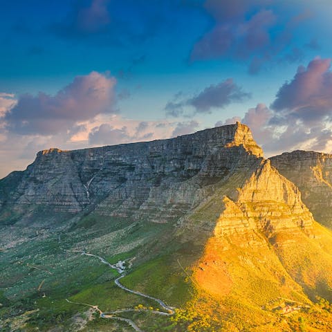 Take a trip up one of the world's Seven Wonders of Nature, Table Mountain